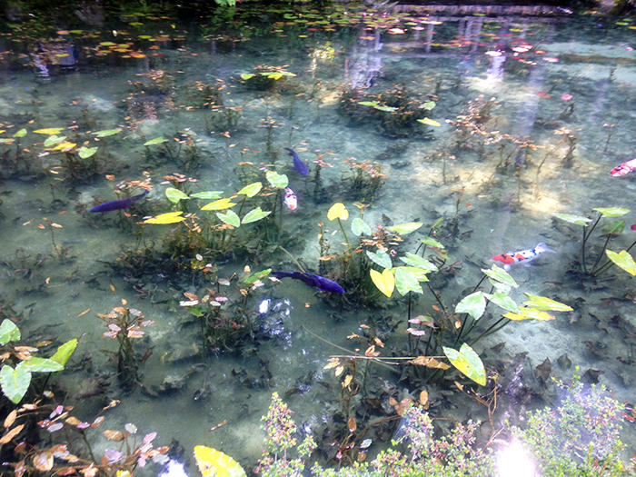 リアルな モネの睡蓮 が見たい 岐阜県の山奥に印象派の池がある たびこふれ