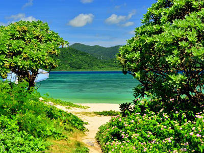 沖縄 小浜島 細﨑ののどかな海の風景 たびこふれ