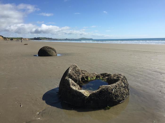 6500万年前にできた不思議な丸い石がニュージーランドに その名もモエラキボルダーズ たびこふれ