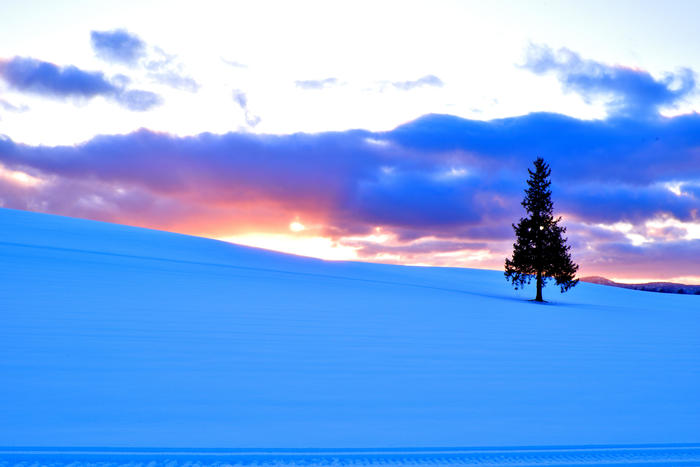 元バスガイド厳選 冬の北海道らしい風景おすすめベスト7 冬の北海道旅行を計画している方必見です たびこふれ