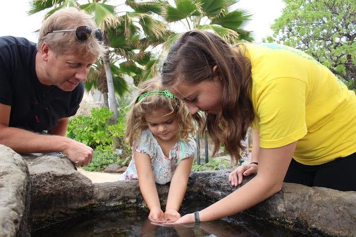 ワイキキ水族館でハワイのヤドカリやウニなどを触る学習体験