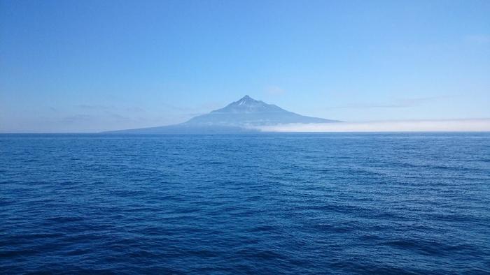 日本最北端の船旅体験記 利尻島 礼文島へフェリーで行ってきました たびこふれ
