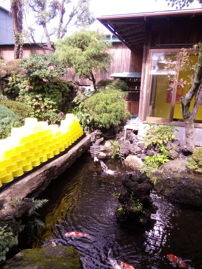 日本庭園3.jpg