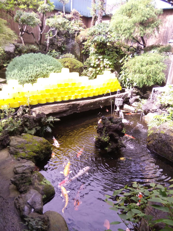 日本庭園5.jpg
