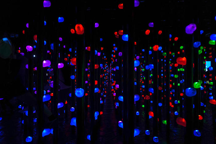 「光の森の3Dボルダリング」空間には数色の宝石が配置され、ホールドを握ると色に合わせた音が鳴ります