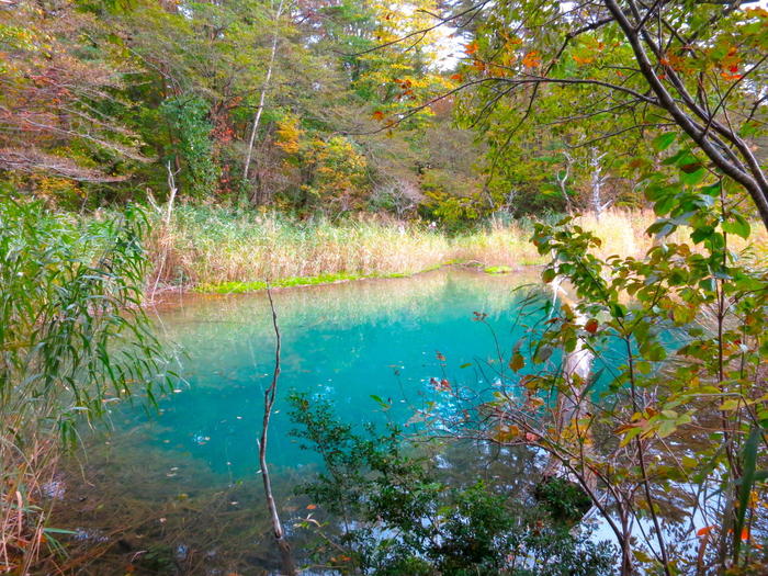 五色沼湖沼群 散策のススメ 福島県裏磐梯の神秘の地を完全攻略 たびこふれ