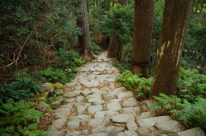 那智の滝_熊野古道の石段