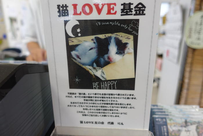 竹富島　猫LOVE基金