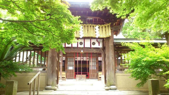 日吉神社 (社殿).jpg