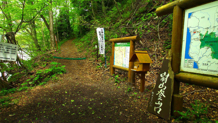 青森県と秋田県にまたがる世界遺産 白神山地 の十二湖散策コースをご紹介 たびこふれ