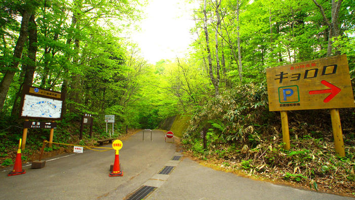 青森県と秋田県にまたがる世界遺産「白神山地」の十二湖散策コースをご紹介！ | たびこふれ