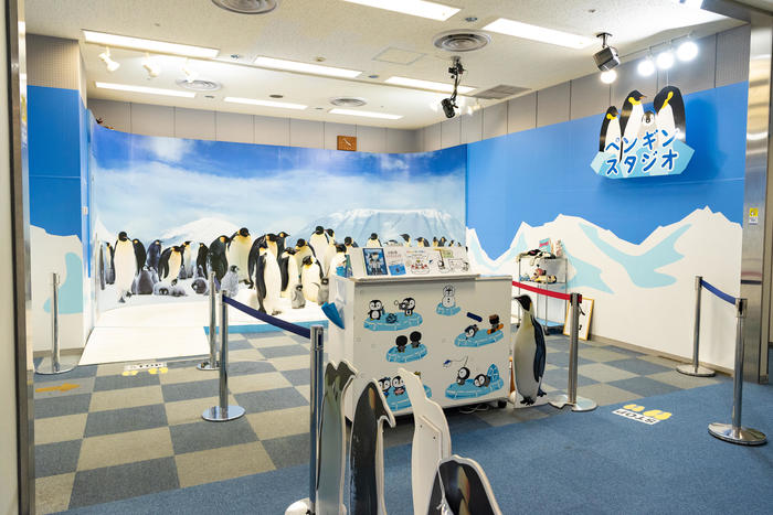 ペンギンスタジオ