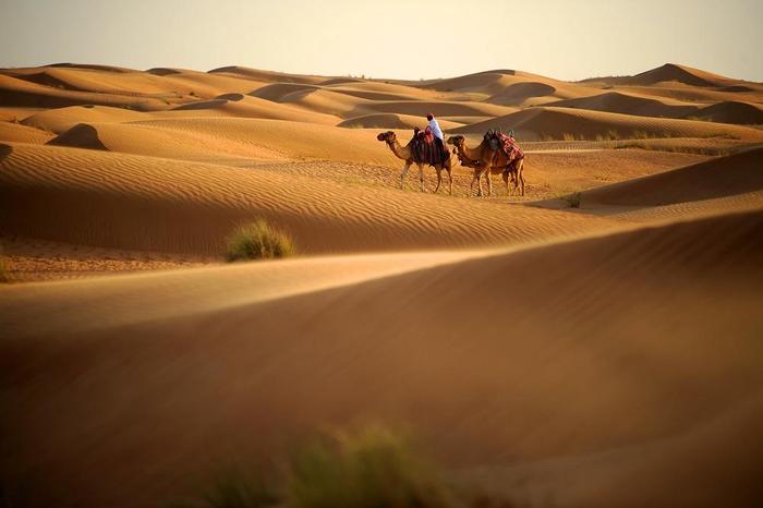 Camel Riding in Dubai Desert砂漠.jpg