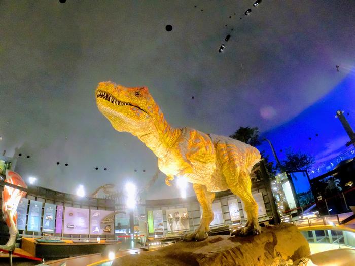 見どころ満載 好アクセス 福井県立恐竜博物館 を徹底レポート たびこふれ