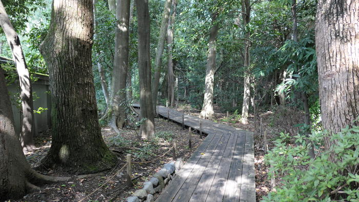 下賀茂神社の浦の回廊