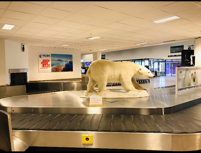 ロングイイェールビーエン空港にて到着後すぐにシロクマがお出迎え.png