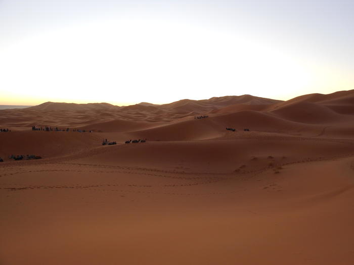 2サハラ砂漠.JPG