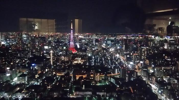 東京夜景.JPG