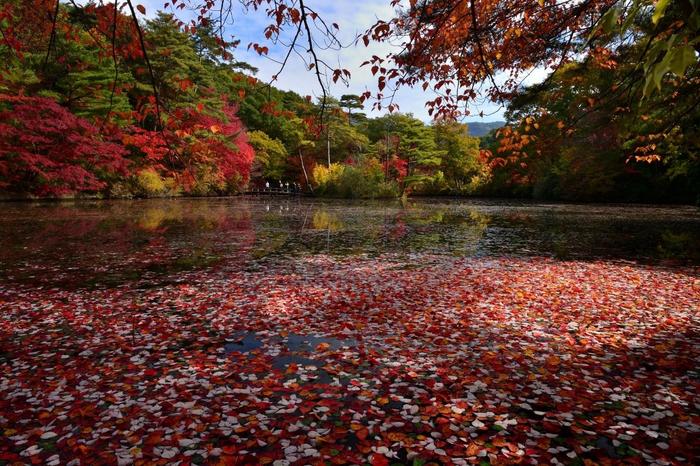 02_澄みきった空気と深まりゆく秋の景色.jpeg