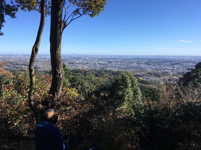 日和田山山頂からの景色