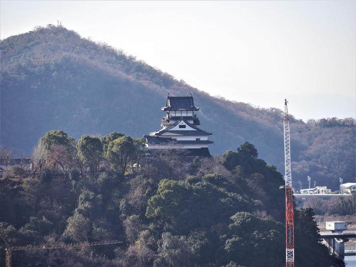 犬山成田山からの眺め　犬山城