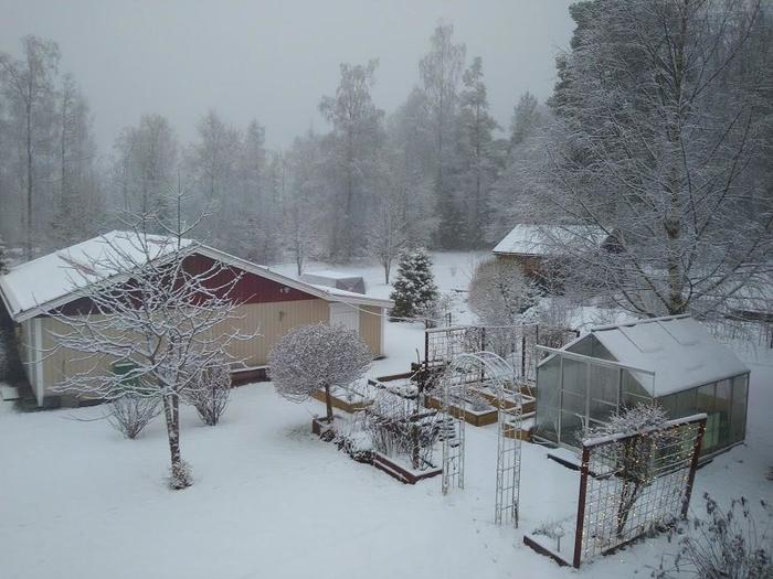 スウェーデン　雪景色