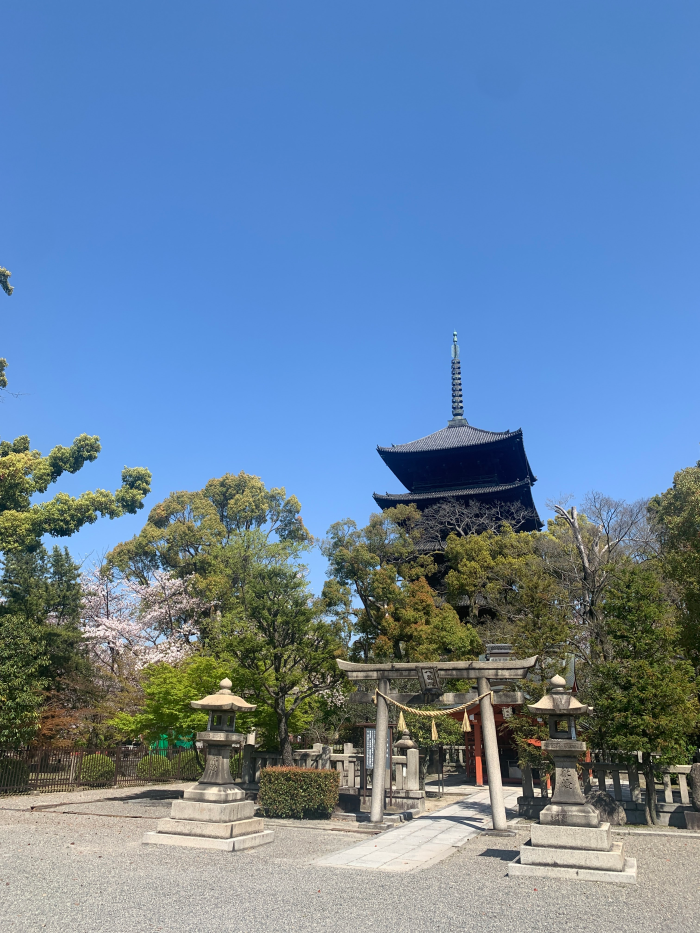 京都　東寺 五重塔