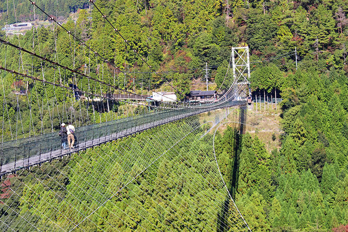 奈良 谷瀬の吊り橋