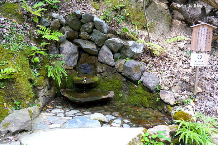 京都　牛若丸 息継ぎの水