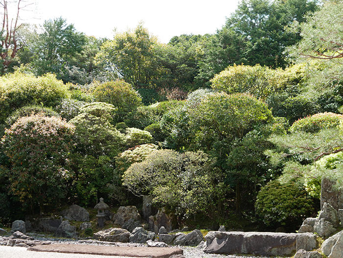 京都 南禅寺 鶴亀蓬莱の庭の常緑樹