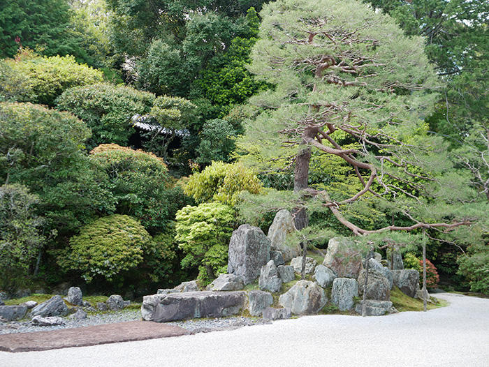 京都 南禅寺 鶴亀蓬莱の庭の亀島