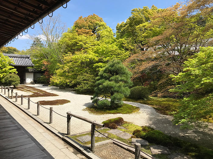 京都 南禅寺 天授庵の庭 枯山水
