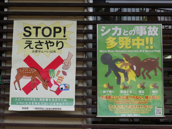 奈良　奈良公園　ポスター