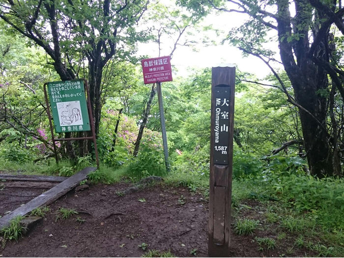 神奈川のおすすめ登山 大室山