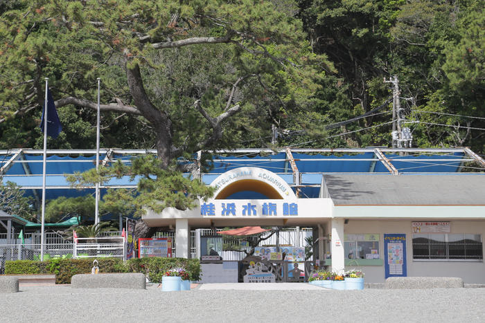 桂浜水族館