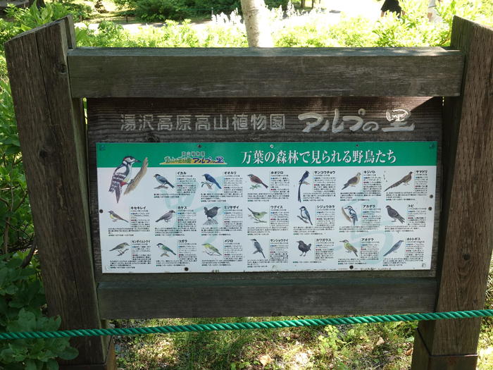 湯沢高原ロープウェイ　高山植物園アルプの里　鳥図鑑