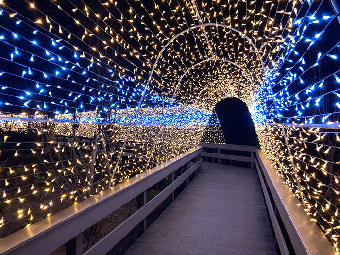 東武動物公園 イルミネーションのトンネル