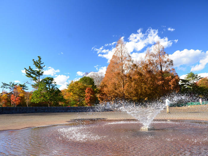 国営ひたち海浜公園　泉の広場　噴水と紅葉