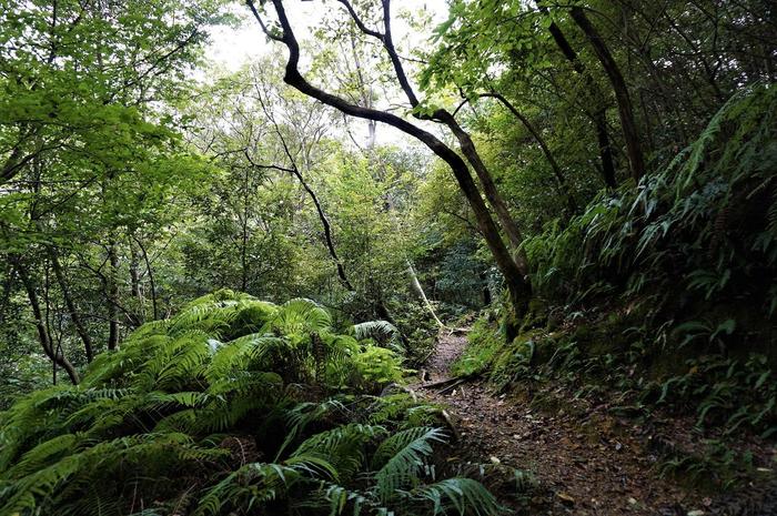 兵庫県立三木山森林公園