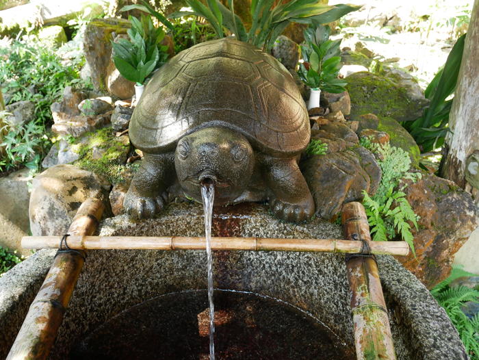松尾大社　神泉・亀の井　亀の口から注がれる水