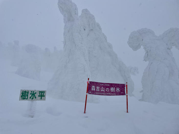 森吉山阿仁スキー場の樹氷