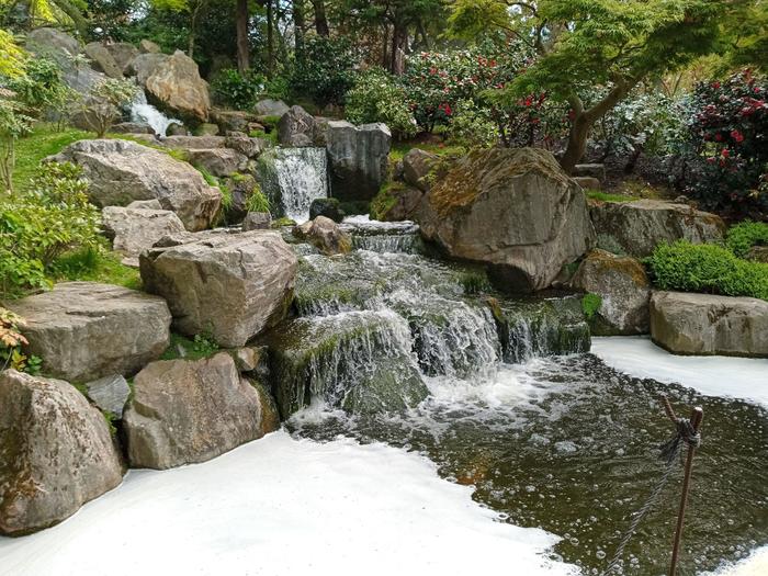 京都庭園