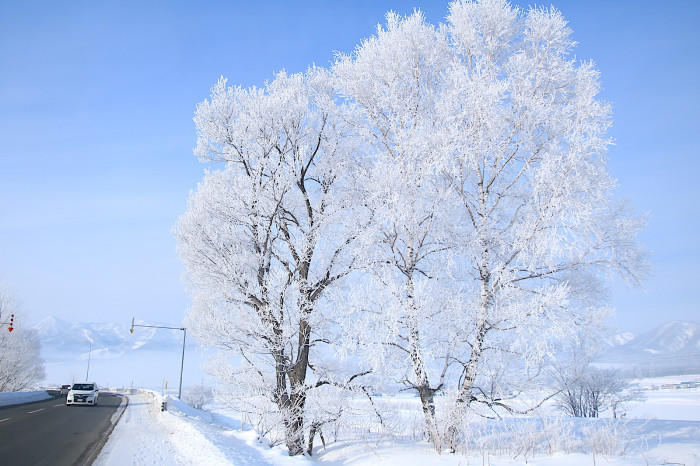 冬の北海道