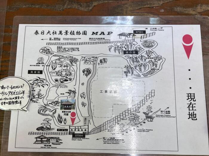 萬葉植物園　地図