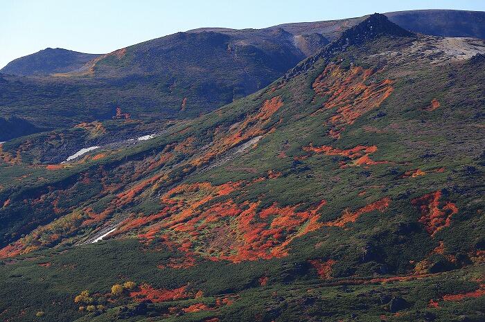 9月から始まる乗鞍岳の紅葉