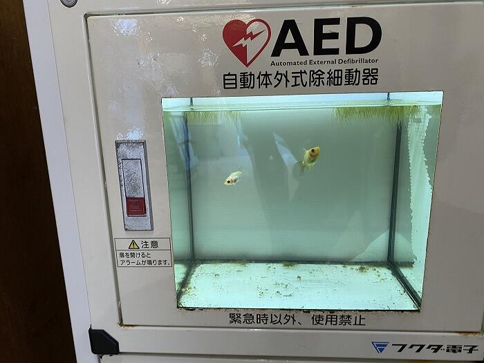 AEDケースに水槽