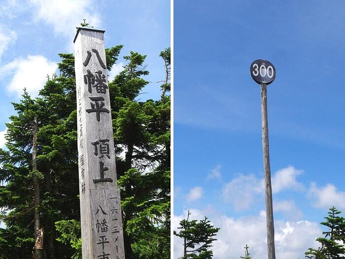 展望台横に立つ八幡平山頂の木柱（左）と「300」の標識