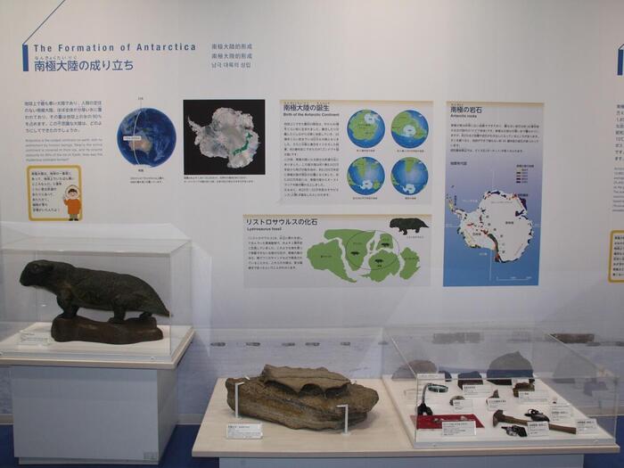 南極の博物館の展示物