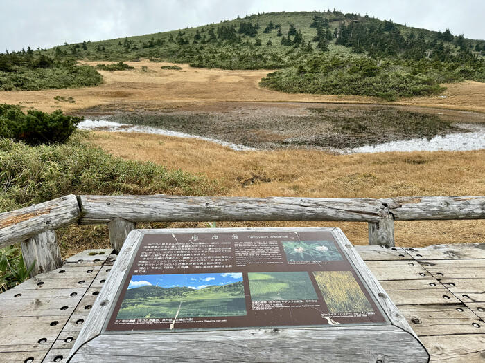 八甲田ロープウェー　田茂萢湿原
