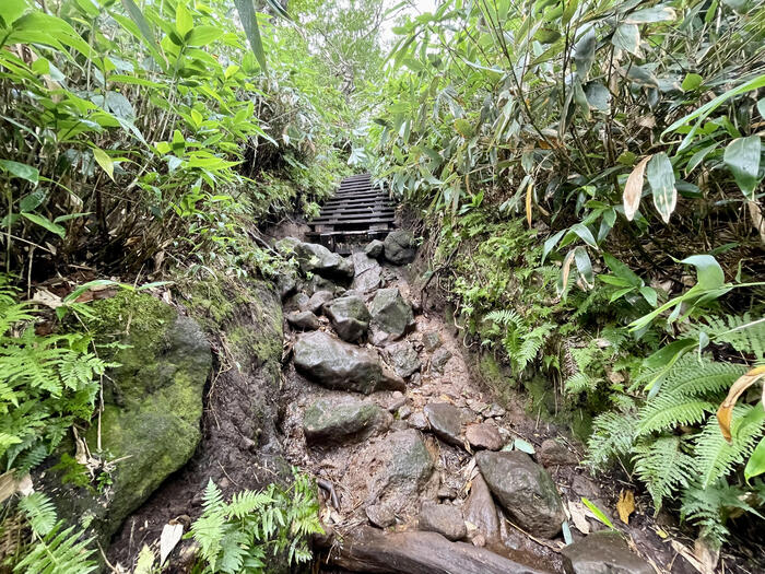燧ヶ岳　御池ルート　岩場と階段の連続
